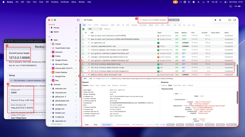 Rockxy showing a captured Flutter bootstrap request with request details open