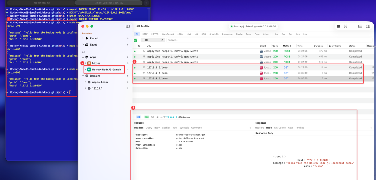 Rockxy capturing Node.js localhost traffic on macOS